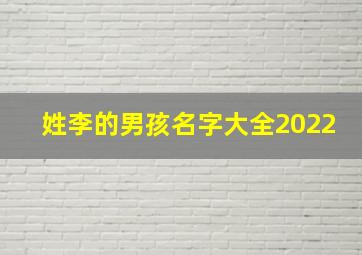 姓李的男孩名字大全2022