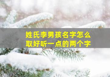 姓氏李男孩名字怎么取好听一点的两个字