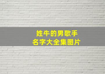 姓牛的男歌手名字大全集图片