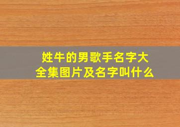 姓牛的男歌手名字大全集图片及名字叫什么