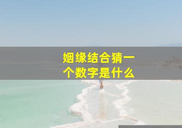 姻缘结合猜一个数字是什么