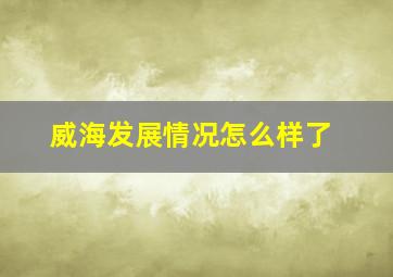 威海发展情况怎么样了