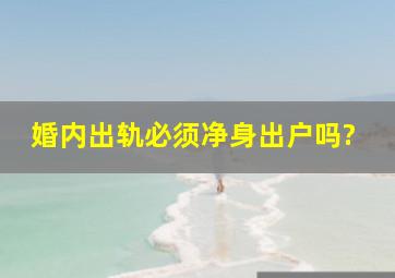 婚内出轨必须净身出户吗?