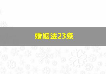 婚姻法23条