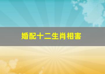 婚配十二生肖相害