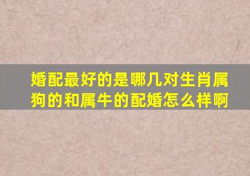 婚配最好的是哪几对生肖属狗的和属牛的配婚怎么样啊