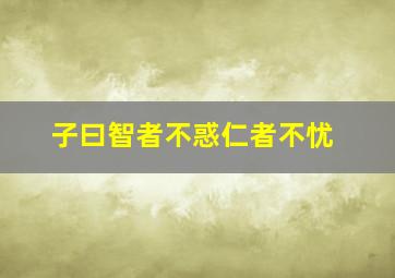 子曰智者不惑仁者不忧