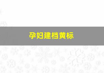 孕妇建档黄标