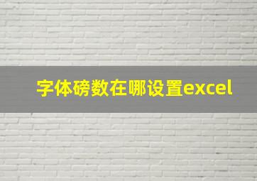 字体磅数在哪设置excel