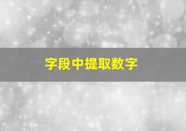 字段中提取数字