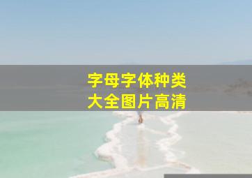 字母字体种类大全图片高清