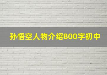 孙悟空人物介绍800字初中