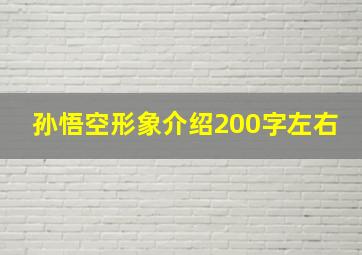 孙悟空形象介绍200字左右