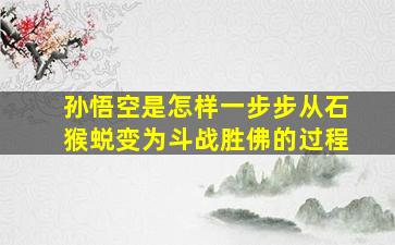 孙悟空是怎样一步步从石猴蜕变为斗战胜佛的过程