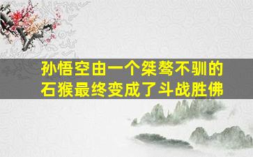 孙悟空由一个桀骜不驯的石猴最终变成了斗战胜佛