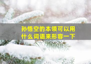 孙悟空的本领可以用什么词语来形容一下