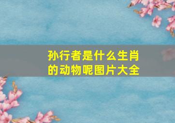 孙行者是什么生肖的动物呢图片大全