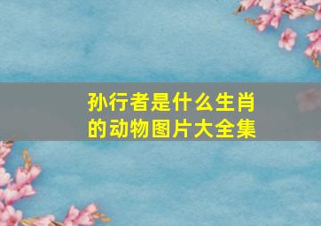 孙行者是什么生肖的动物图片大全集