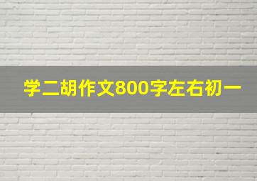 学二胡作文800字左右初一