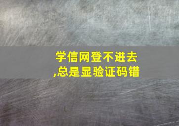 学信网登不进去,总是显验证码错