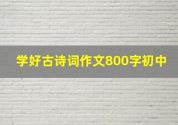 学好古诗词作文800字初中