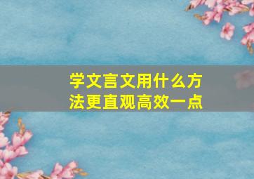 学文言文用什么方法更直观高效一点