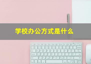 学校办公方式是什么