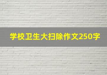 学校卫生大扫除作文250字