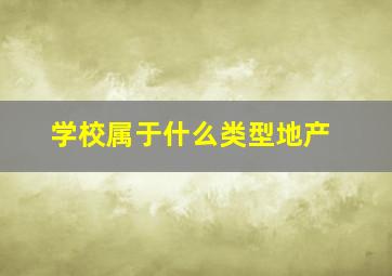 学校属于什么类型地产