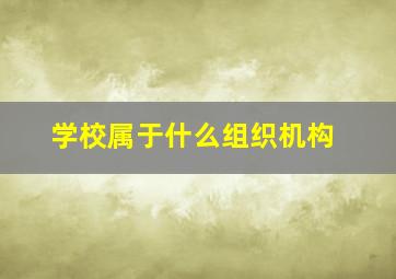 学校属于什么组织机构