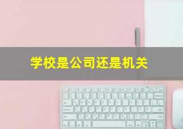 学校是公司还是机关