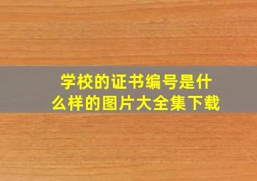 学校的证书编号是什么样的图片大全集下载