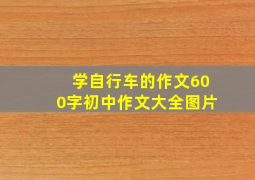 学自行车的作文600字初中作文大全图片