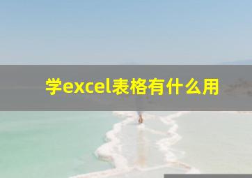 学excel表格有什么用