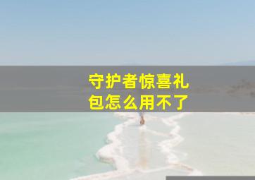 守护者惊喜礼包怎么用不了