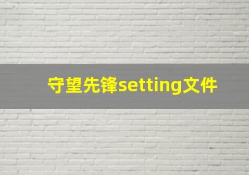 守望先锋setting文件