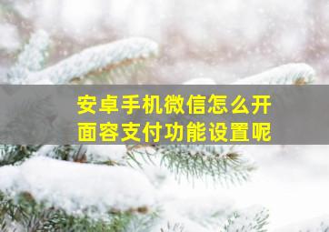 安卓手机微信怎么开面容支付功能设置呢