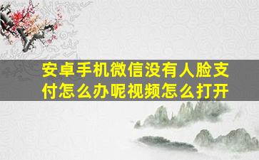 安卓手机微信没有人脸支付怎么办呢视频怎么打开