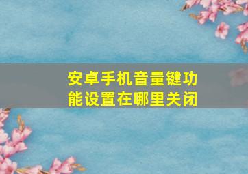 安卓手机音量键功能设置在哪里关闭