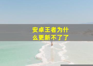 安卓王者为什么更新不了了