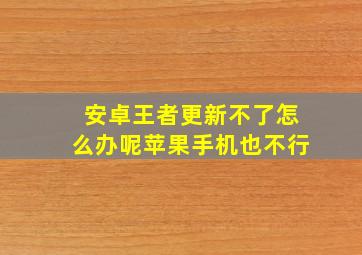 安卓王者更新不了怎么办呢苹果手机也不行