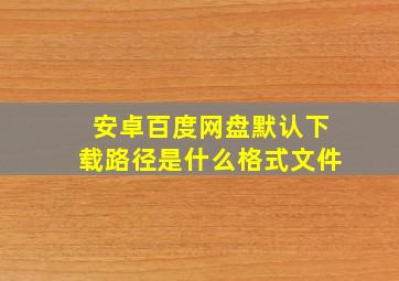 安卓百度网盘默认下载路径是什么格式文件