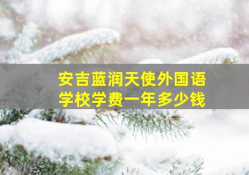 安吉蓝润天使外国语学校学费一年多少钱