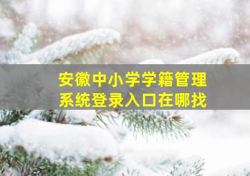 安徽中小学学籍管理系统登录入口在哪找