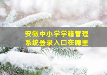 安徽中小学学籍管理系统登录入口在哪里