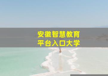 安徽智慧教育平台入口大学