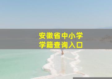 安徽省中小学学籍查询入口