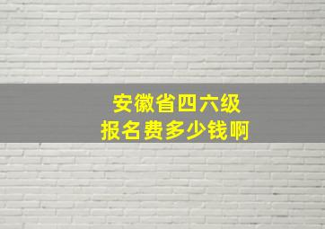 安徽省四六级报名费多少钱啊