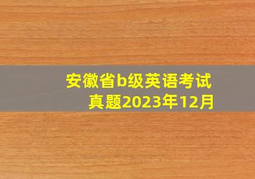 安徽省b级英语考试真题2023年12月