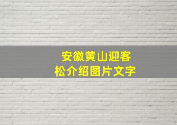 安徽黄山迎客松介绍图片文字